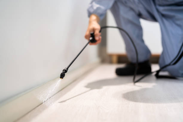 Licensed Pest Control service in Fredericksburg, TX - Show Me Pest Control