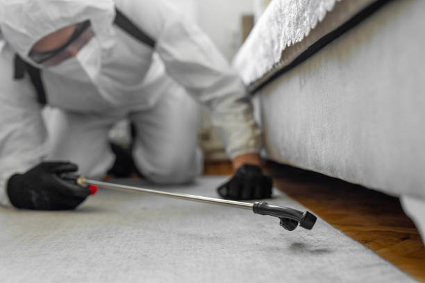 Professional Ant Control technician working in Fredericksburg, TX