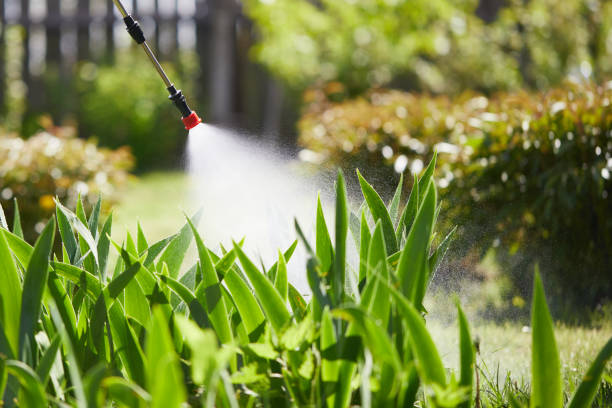 24/7 Emergency Wasp Removal experts in Fredericksburg, TX