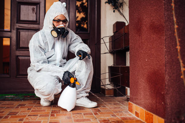Reliable Wasp Removal contractor in Fredericksburg, TX by Show Me Pest Control